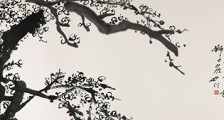 自然保护区管理势在必行 ▎绿水金山就是金山银山
